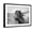 Black Frame, variant on Art.com Fierce Grace Photographic Print by Tony Stromberg, Brown Frame Wall Art, 21" x 17"