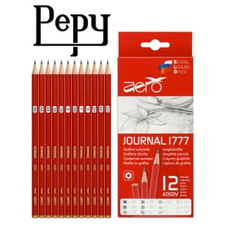 Professional Drawing Sketching Pencil Set - 12 Pieces Drawing Pencils 10B,  8B, 6B, 5B, 4B, 3B, 2B, B, HB, 2H, 4H, 6H Graphite Pencils for Beginners 