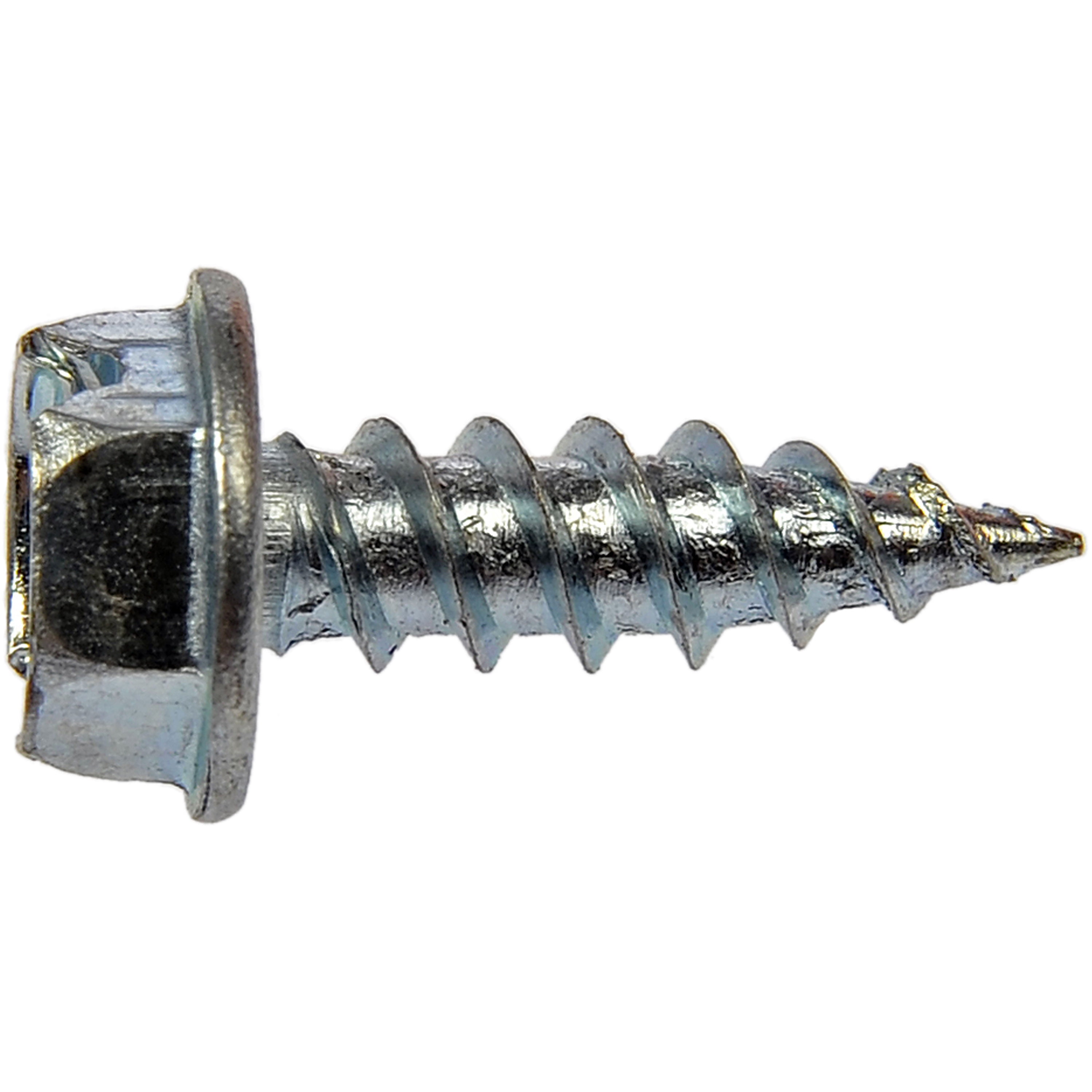 Dorman 365-185 Screw Chrome (Pack of 100)