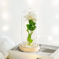 Valentines Day Gifts For Girlfriend & Wife, Girlfriend Presents,Cool Gifts To Get Your Girlfriend,Forever Preserved Rose Night Light in Glass / Dome,Valentine's Day Decor