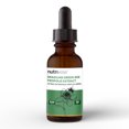 thumbnail image 1 of Nutriwise Extrait de propolis d'Abeille Verte Brésilienne Dorée Soutien Immunitaire 30 ml Sans Alcool, 1 of 4