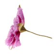 thumbnail image 3 of 50cm grandes flores de peonía artificial simulación flores boda decoración de fondo de pared Púrpura Soledad Flor artificial de Penoy, 3 of 8