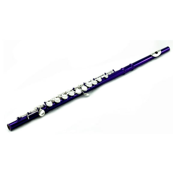Sky C Flute with Lightweight Case, Cleaning Rod, Cloth, Joint Grease and Screw Driver - Blue/Silver Closed Hole