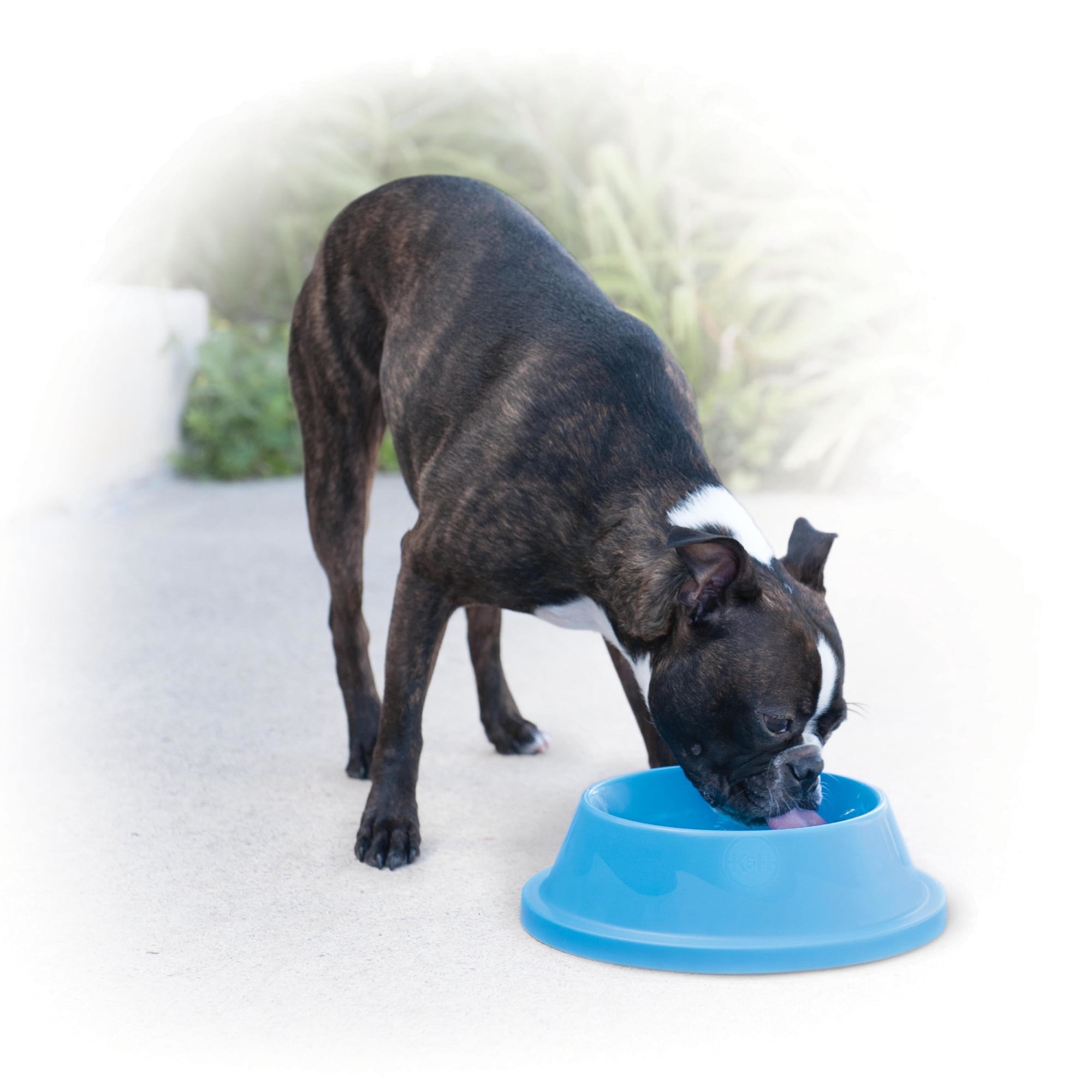 K&H Coolin' Bowl, 32 oz, Sky Blue
