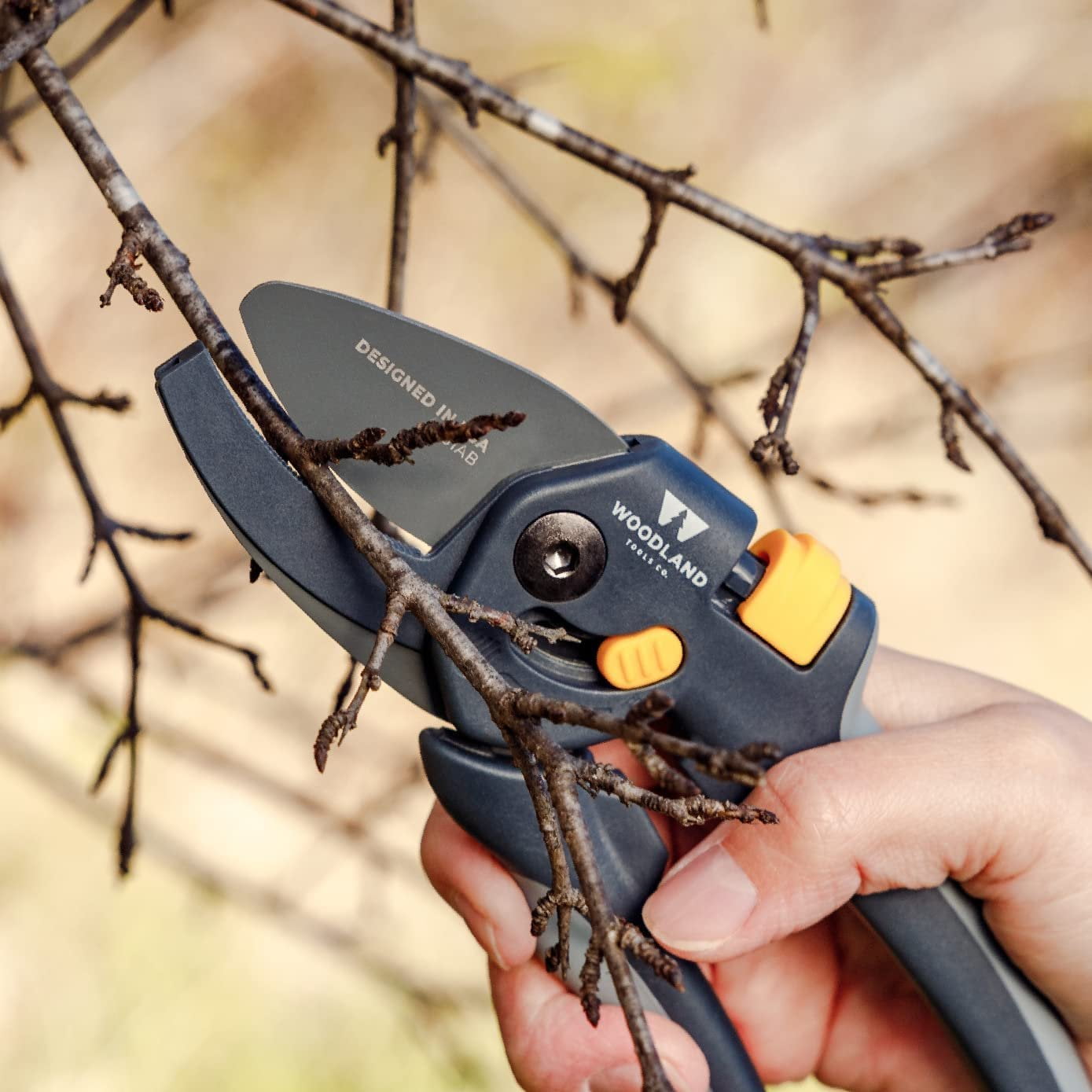 Woodland Tools Co. Heavy Duty Adjustable Anvil Pruning Shears, Gardening Hand Pruner, Stem Cutter, Branch Trimmer, for Dry Dead Growth 05-2004-100