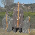 thumbnail image 5 of Disfraz de rata de Navidad con capa y sombrero, 120 cm, color naranja, 5 of 5