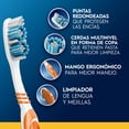 thumbnail image 2 of Cepillo de Dientes Oral-B Complete con Cerdas Medias Pulidoras, 2 pzas, 2 of 5