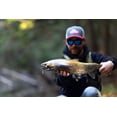thumbnail image 3 of Berkley Power® Blade Compact, Spinnerbaits, E2 Magic/Gold + Silver (1-count), 3 of 6