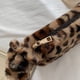 thumbnail image 5 of Bolsa cruzado de felpa para mujer, bandolera con estampado de animales de leopardo para mujer Ndcxsfigh Para Estrenar, 5 of 9