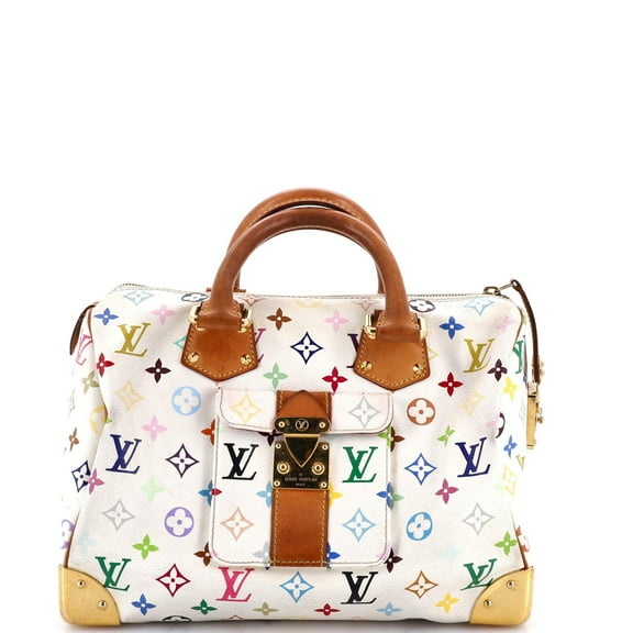 Pre-Owned Speedy Handbag Monogram Multicolor 30 By Rebag