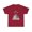 Cardinal Red, variant on Insane Pride American Unisex Heavy Cotton Tee