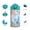 Anna and Elsa, variant on Zak Designs 15.5 oz Disney's Frozen Kids Water Bottle Stainless Steel with Push-Button Spout and Locking Cover, Elsa & Olaf