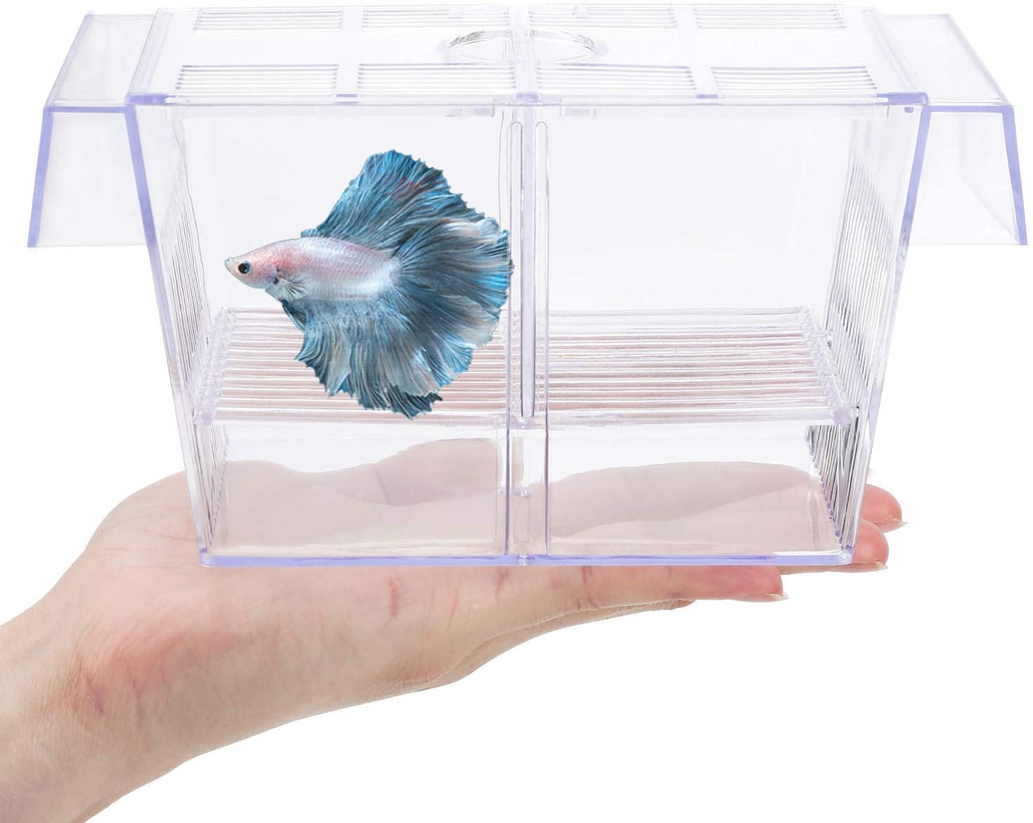 floating breeder box