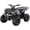 Spider Black, variant on RPS 125cc ATV Rider 8 Big Tire