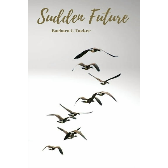 Sudden Future, (Paperback)