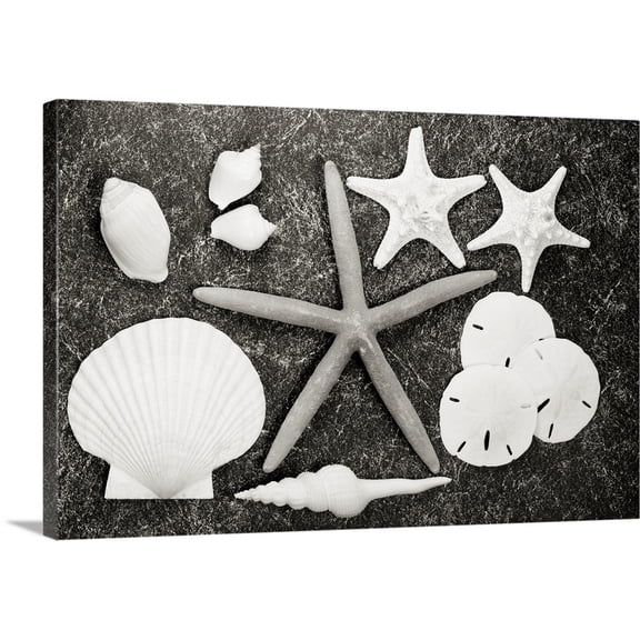 Great BIG Canvas | "Shells And Starfish Scattered On Textured Surface" Canvas Wall Art - 30x20