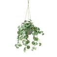 thumbnail image 2 of Plantas artificiales Verde | Decoración falsa de hidrocotilo vulgaris | Suculentas de plástico en maceta, plantas de interior de hoja pequeña para escritorio, oficina, multicolor, 20 cm, 2 of 6