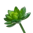 thumbnail image 3 of Mainstays Artificial Succulent Pick 2.75 inch x 4 inch Bright Green Echevarria, 3 of 5