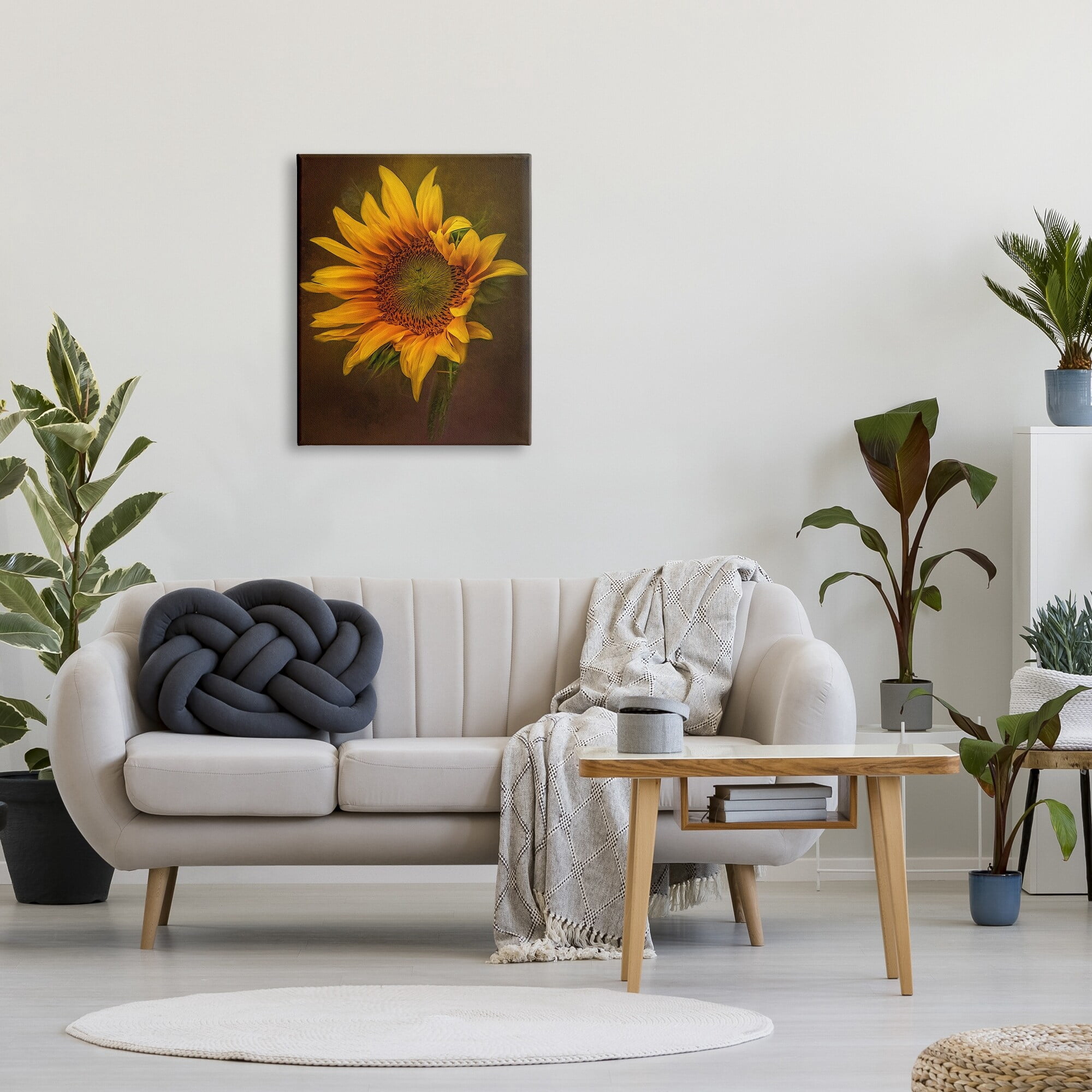 Stupell Industries Modern Detailed Sunflower Petals Botanical & Floral Painting Gallery Wrapped Canvas Print Wall Art