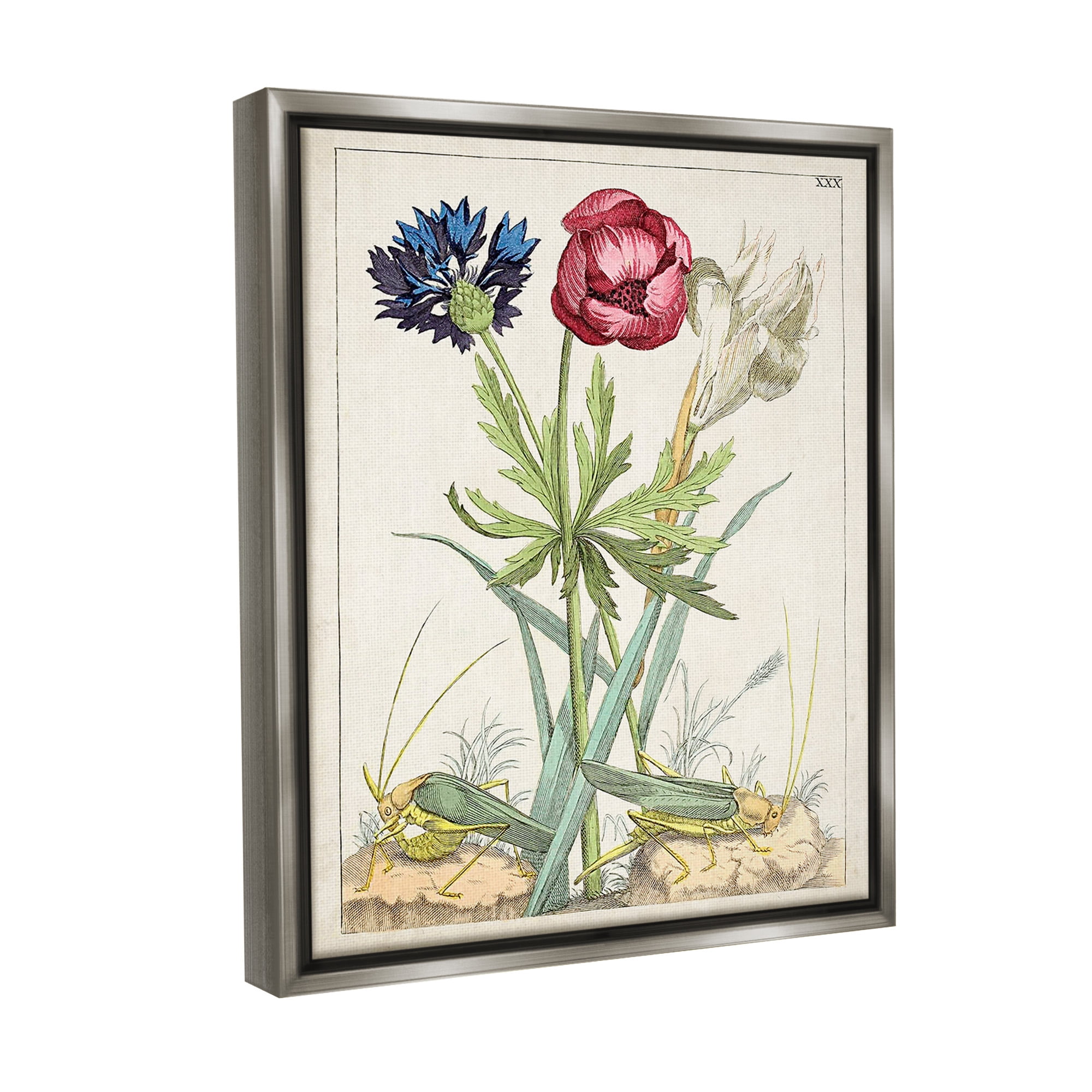 Stupell Industries Blooming Bulbs & Grasshoppers Botanical & Floral Painting Gray Floater Framed Canvas Art Print Wall Art, 17 x 21