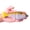 D, variant on 7-Inch Jointed Swimbait Glide Bait Lure, Robust Sinking S-Curve Swimming Artificial Baitfish, Sturdy Resilient Metal Hinge Trophy Hunter for Bass Pike Musky, 81g