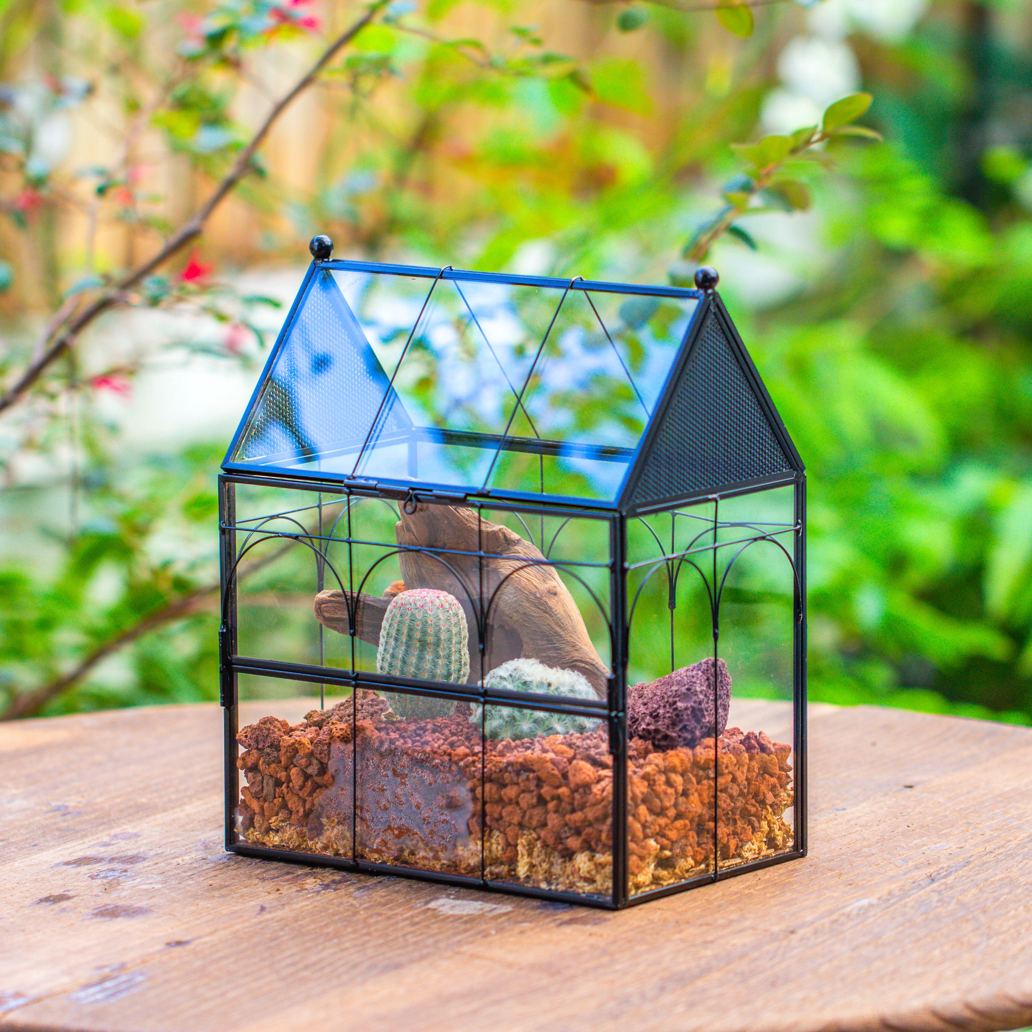 NCYP Glass Enclosure with Vent Holes for Insect, Spiders, Snails - 7.5" x 4.9" x 9", Small Closed Front Opening Door Succulent Terarium - House Shape Habitat, Home Decor Black (No Plants)