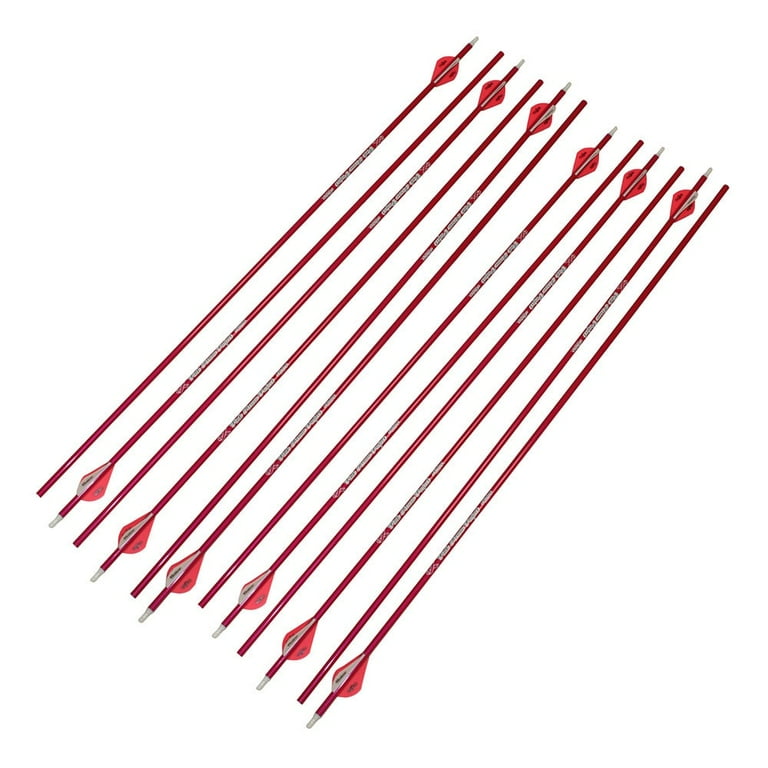 arrows - 【B】F-02L/arrows Be3/353323100704377 Amazon.com: Zing Z Tek Bow Bungee Replacements and Arrow