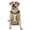 Without Accessories, variant on Vsdgher Yellow Gingham Pattern Dog Harness,No Pull Pet Harness with Soft Padded Handle,Adjustable Reflective Vest with 2 Buckles,4 Slide Buckles,S-XL Medium