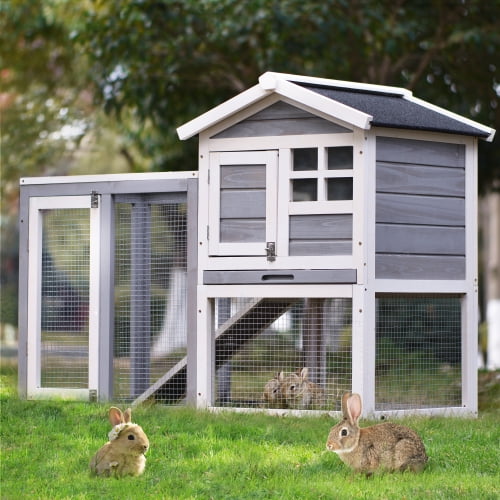 walmart rabbit supplies