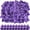Purple, variant on NCQ 600 Pcs Guitar Picks Bulk Celluloid Picks Plectrums for Electric Acoustic Guitar Thin Medium Heavy Plectrums(10 Colors,0.46, 0.71, 0.96 mm)
