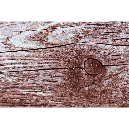 LAMINATED POSTER Nature Board Wood Grain Texture Knothole Poster Print 24 x 36
