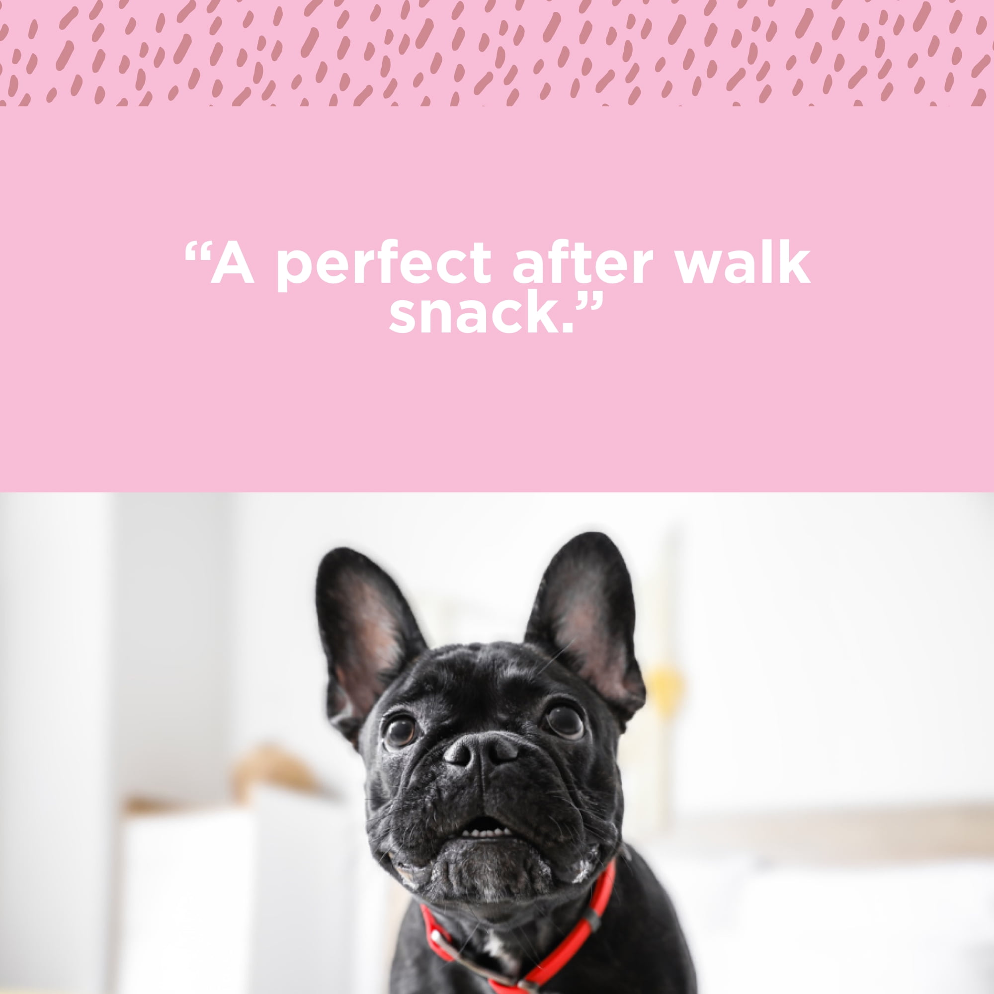 Paw Love All Natural Beef Gullet Dog Chew Treats, Single Ingredient, 6" Chew, 12pk