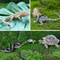 thumbnail image 4 of Toymany 12PCS Reptile Animal Figurine Toys Set，Cold Blooded Amphibians Desert Animal Figures Set with Komodo Dragon Lizard Snake Chameleon Toy Birthday Gift Party Favor for Kids Toddlers, 4 of 8