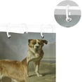 thumbnail image 3 of Saint Bernard Dog Bath Shower Curtain Liners - 72x72in - 100% Polyester - Waterproof Bath Curtain with C-Shaped Hooks for Bathroom Decoration 1 Panel, 3 of 5