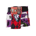 thumbnail image 2 of Aeropostale Men’s Harley Quinn and Joker Boxer Briefs and Socks Set, 2-Piece, 2 of 4