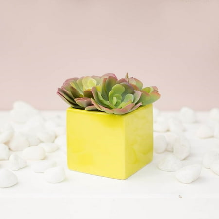 Vases Square Ceramic Vase Cube Flower Pot 3 25 Inches Neon Green