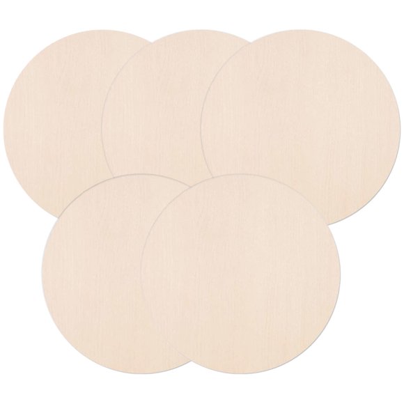 OULII 5Pcs Small Wood Slices for Diy Crafts and Rustic Home Decor 13.8X13.8X0.1In