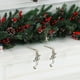 thumbnail image 5 of Gancho para el soporte de la media navideña | Colgador de coronas de hierro plateado sobre puerta | Gancho decorativo para adornos navideños | Aguanta hasta 10 libras | 1 Pc | 6,3x3,39x1,96 pulgadas, 5 of 6