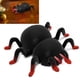 thumbnail image 3 of Araña de control remoto ANGGREK juguetes para niños, 3 of 8