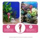 thumbnail image 5 of unbranded 2Ud Adorno Para Acuario Con Detalles Exquisitos Y Material, 5 of 6