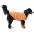 thumbnail image 4 of Midlee Coral Dog Sweatshirt (Medium), 4 of 7
