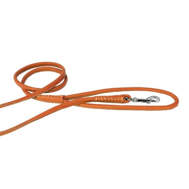 Dogline L2040-4 48 L x 0,25 Po Laisse Ronde en Cuir&44; Orange