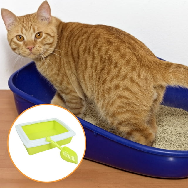 CIMAXIC Filtres de Litière pour Chat de Remplacement Vert Pâle Abs Lot de 1 Conception Semi-Fermée