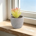 thumbnail image 6 of MMJ Artificial Potted Plants Faux Plants Small Plastic White Planter Tabletop Desk Home Office Decor 2.76x2.68x2.68in, 6 of 6