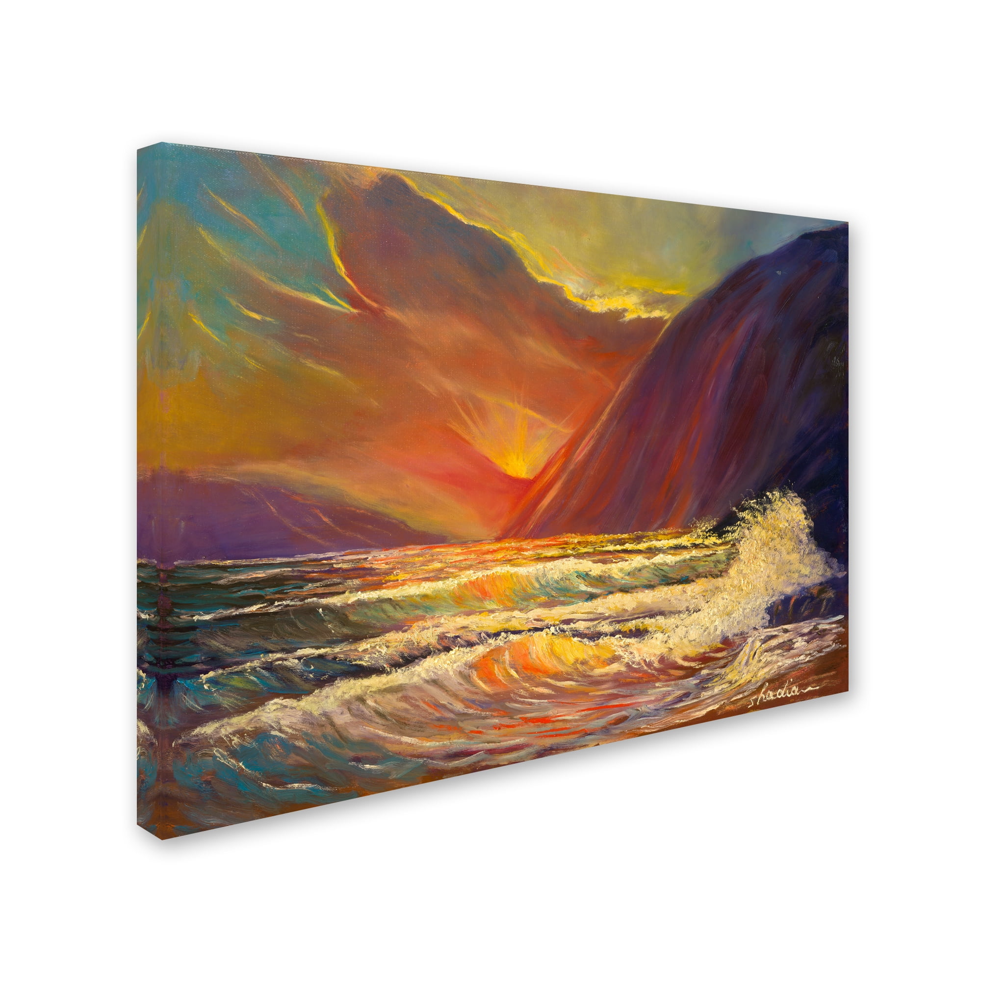 Trademark Fine Art 'Hawaiian Coastal Sunset' Canvas Art by Manor Shadian