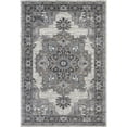 thumbnail image 1 of Amer Rug ALX510406 4 x 6 ft. Ale x andria 51 Power-Loomed Area Rug - Light Gray, 1 of 1