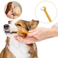 thumbnail image 4 of Toothbrush For And Cats Soft Care For Gentle Teeth Cleaning And Oral Hygiene, 4 of 6