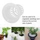 thumbnail image 4 of Buena Resistencia Arreglar Las Plánntulas PP Material Soilless Plant Pot, Hydroponics Pot, 50 piezas Variedades de Reproducción Negra para contenidos de Jardín, 4 of 7