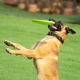thumbnail image 3 of Graflsoa Durable TPU Dog Flying Disc for Outdoor Play, Water-Resistant, Bright Blue, 9-Inch, Perfect for Fetch and Training, 3 of 7