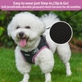 thumbnail image 5 of AIITLE Extra Small Dog Harness, No Pull, Reflective, Adjustable, Breathable, Quick-Release, Black XXS, 5 of 7